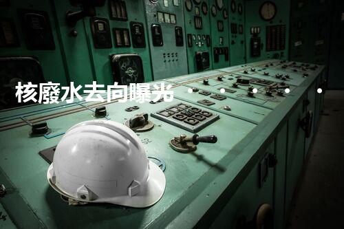 核廢水去向曝光！真相何在？